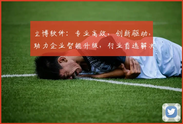 立博软件：专业高效，创新驱动，助力企业智能升级，行业首选解决方案，优化管理效率。