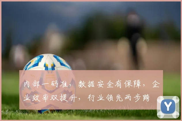 内部一码准，数据安全有保障，企业效率双提升，行业领先两步跨