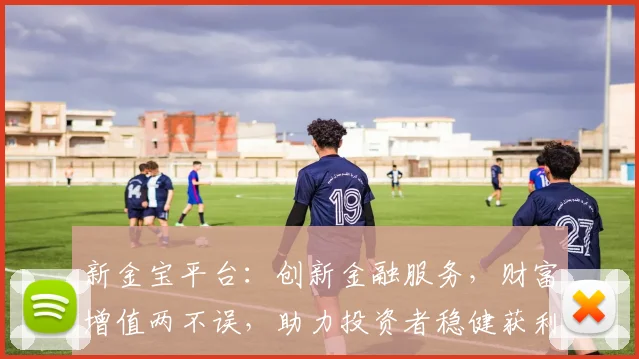 新金宝平台：创新金融服务，财富增值两不误，助力投资者稳健获利